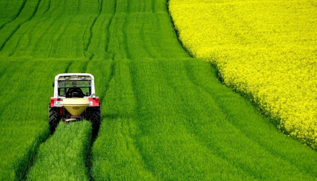rapeseeds, field, tractor-4910374.jpg